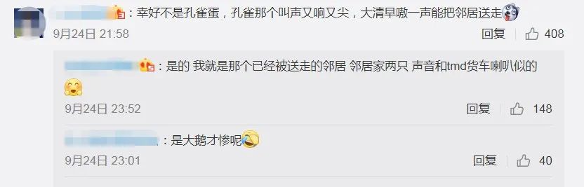 社会|男子网购孔雀蛋，结果孵出……给我整笑了