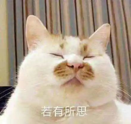 社会|男子网购孔雀蛋，结果孵出……给我整笑了