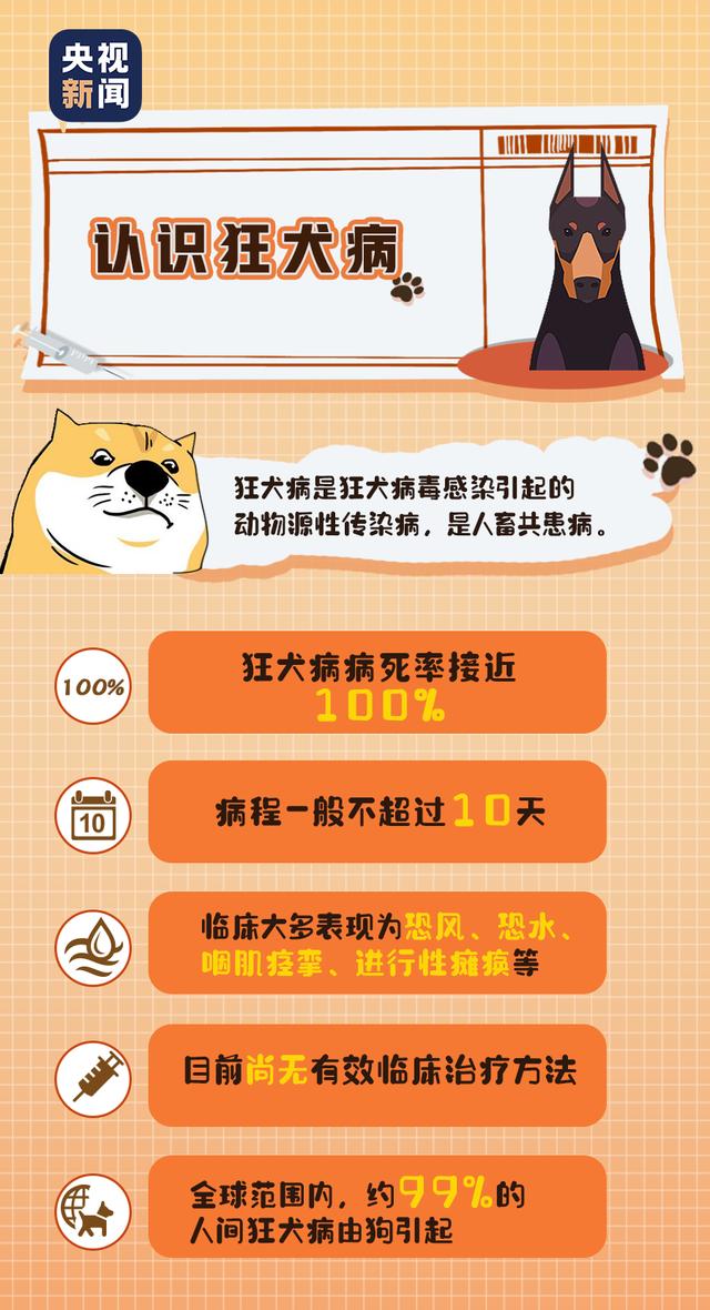 狂犬病|关于狂犬病的这些真相，你或许还未了解……