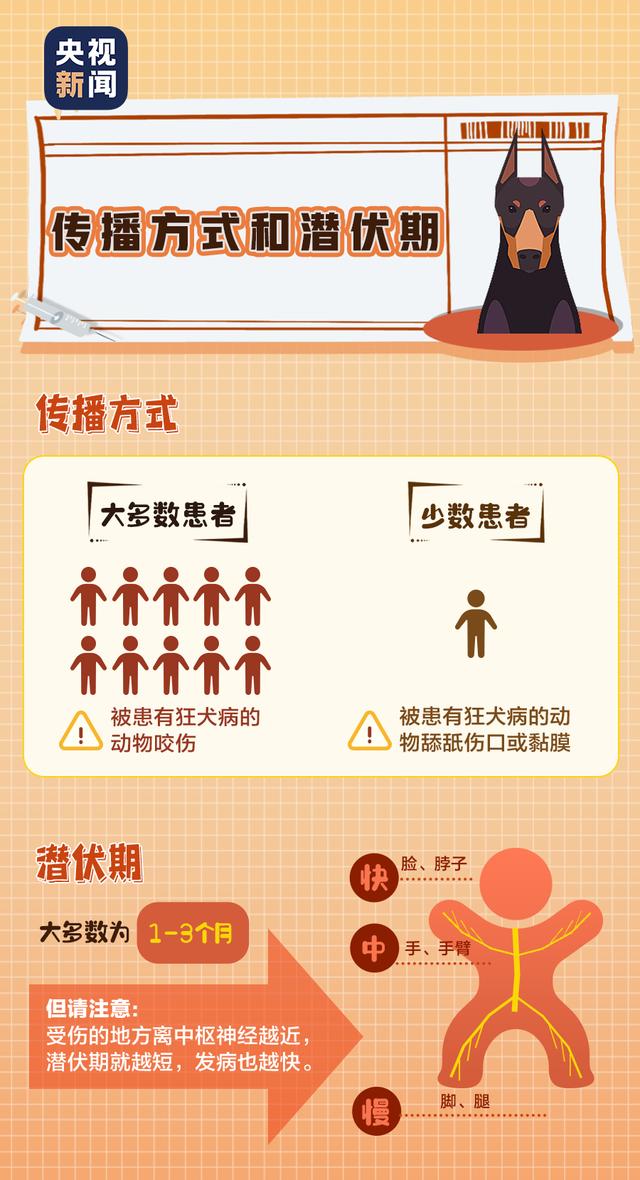 狂犬病|关于狂犬病的这些真相，你或许还未了解……