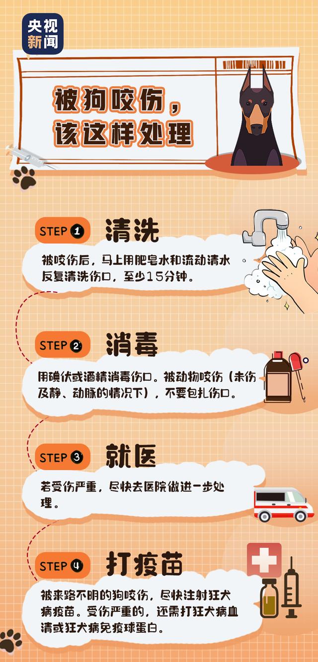 狂犬病|关于狂犬病的这些真相，你或许还未了解……