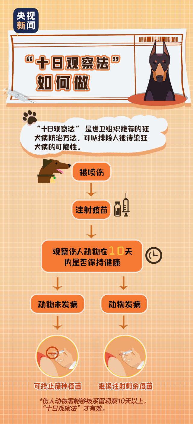 狂犬病|关于狂犬病的这些真相，你或许还未了解……