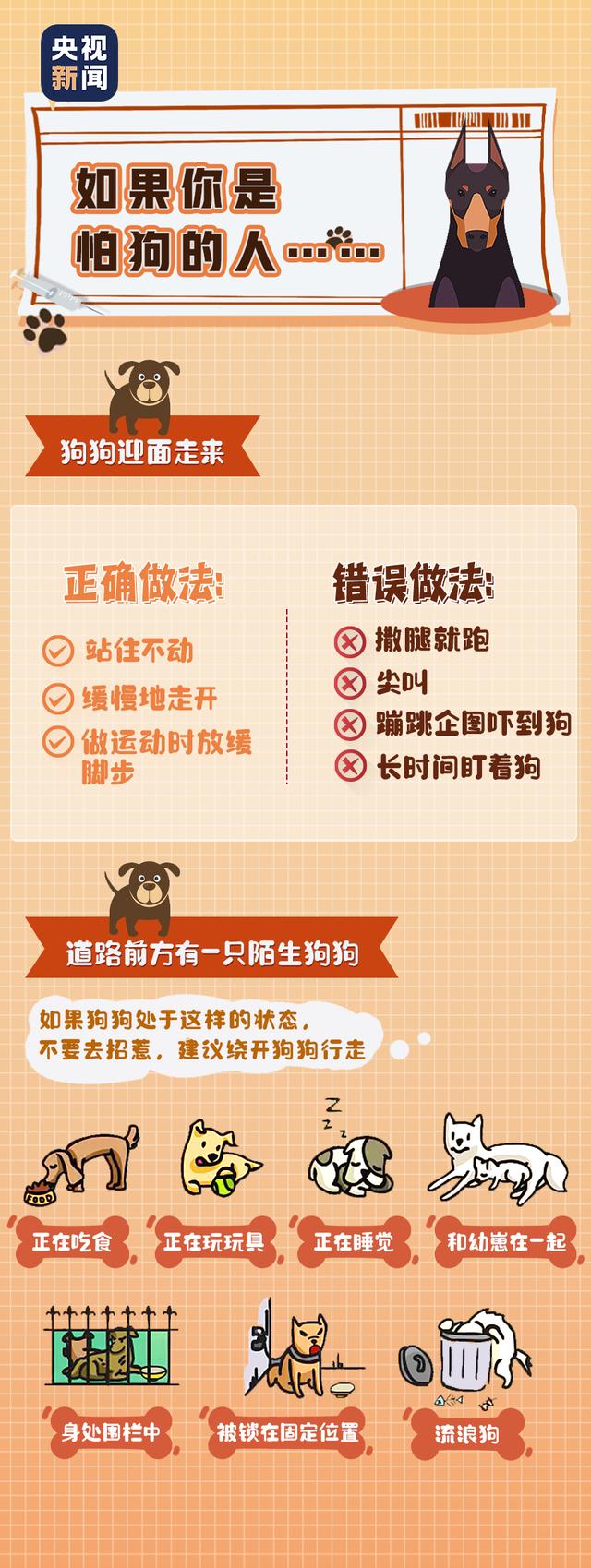 狂犬病|关于狂犬病的这些真相，你或许还未了解……