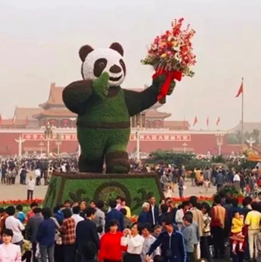 花坛|1986→2020,这一幕惊艳!