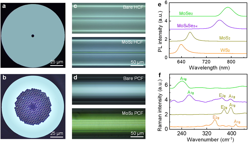 二维材料|进展 | 二维材料复合光纤实现超高非线性效应