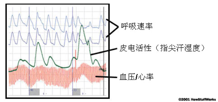 测谎仪|被套住就要说实话——它是现实中的“真言套索”