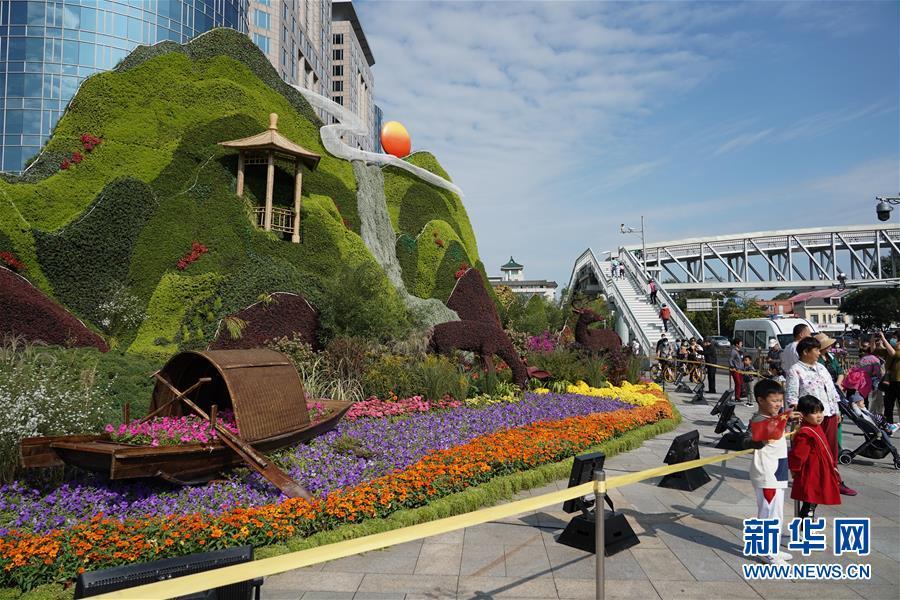 花坛|北京：多彩花坛迎国庆