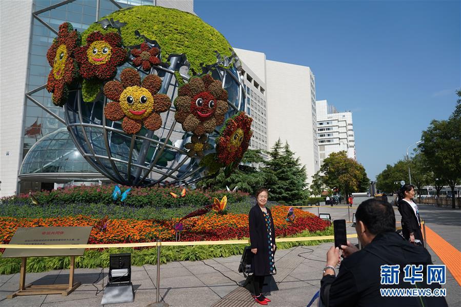 花坛|北京：多彩花坛迎国庆
