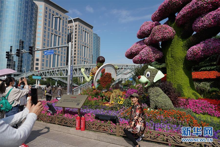 花坛|北京：多彩花坛迎国庆