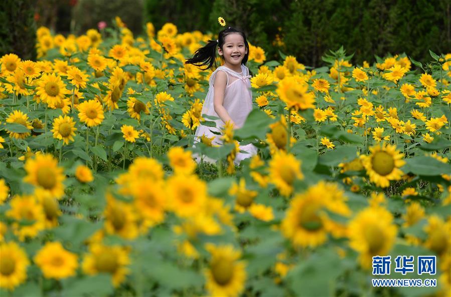 喜相逢|“双节”喜相逢 一样家国情——全国各地欢度国庆中秋佳节扫描