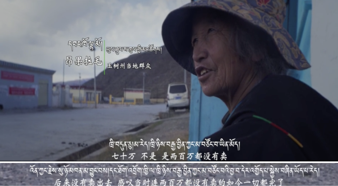 藏獒|那个身价千万的网红，终于被你们毁了