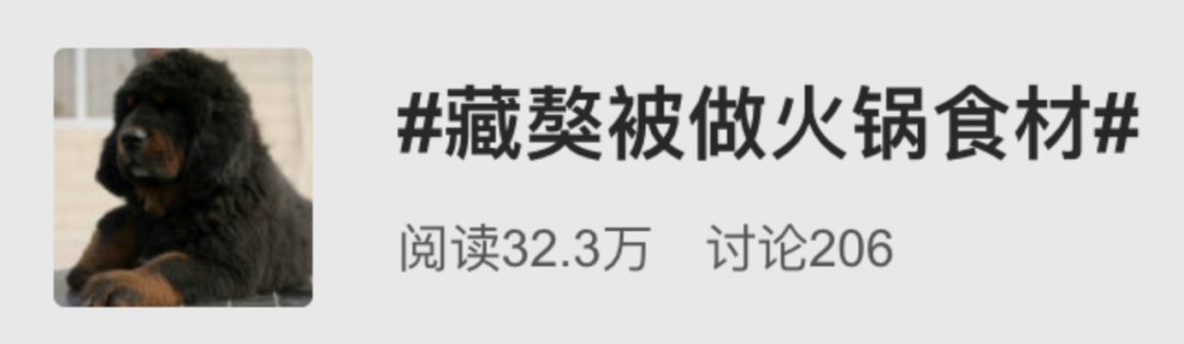 藏獒|那个身价千万的网红，终于被你们毁了