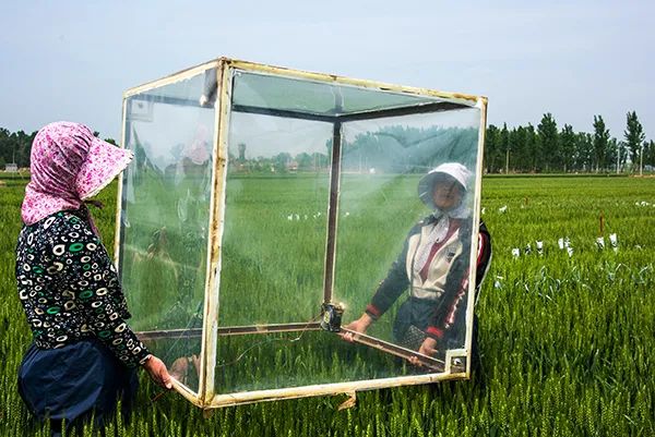 摄影|“女摄影人眼中的脱贫故事”摄影展拉开帷幕