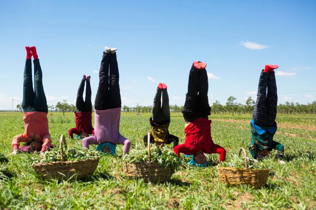 摄影|“女摄影人眼中的脱贫故事”摄影展拉开帷幕