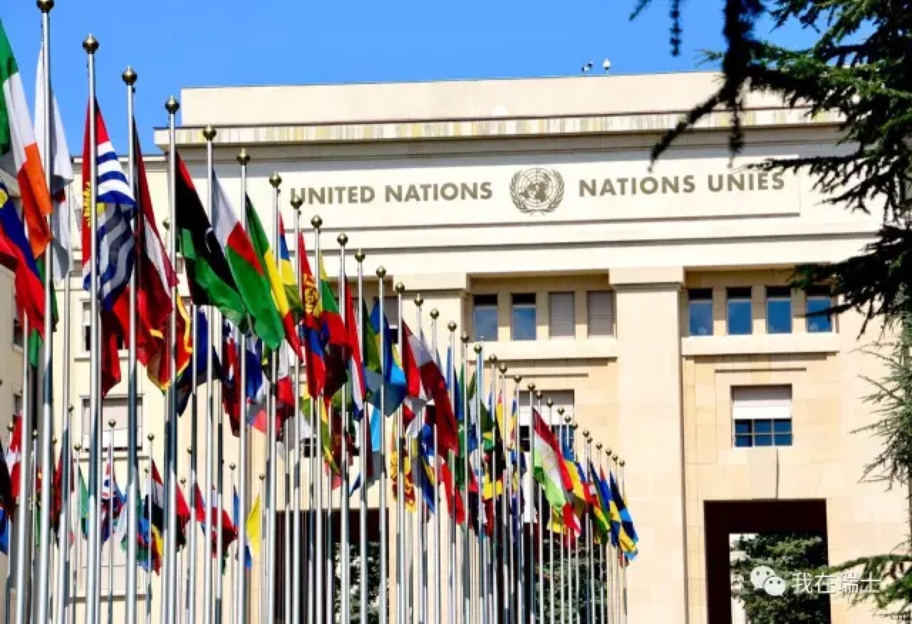 种族主义|人权理事会就种族主义、仇外心理等问题举行一般性辩论