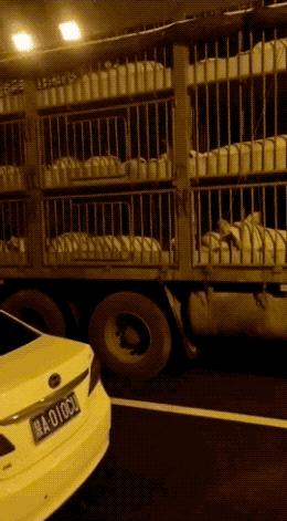 视觉志|国庆假期堵车救命帖。