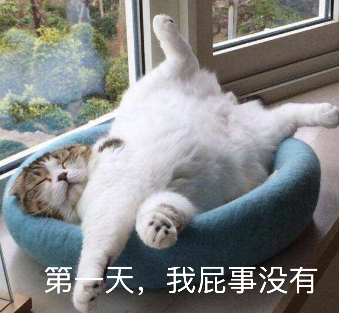 视觉志|国庆假期堵车救命帖。