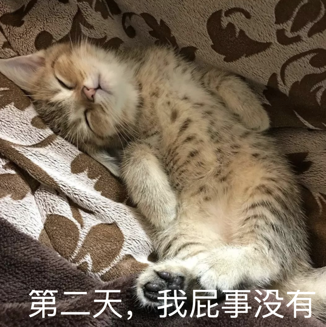 视觉志|国庆假期堵车救命帖。