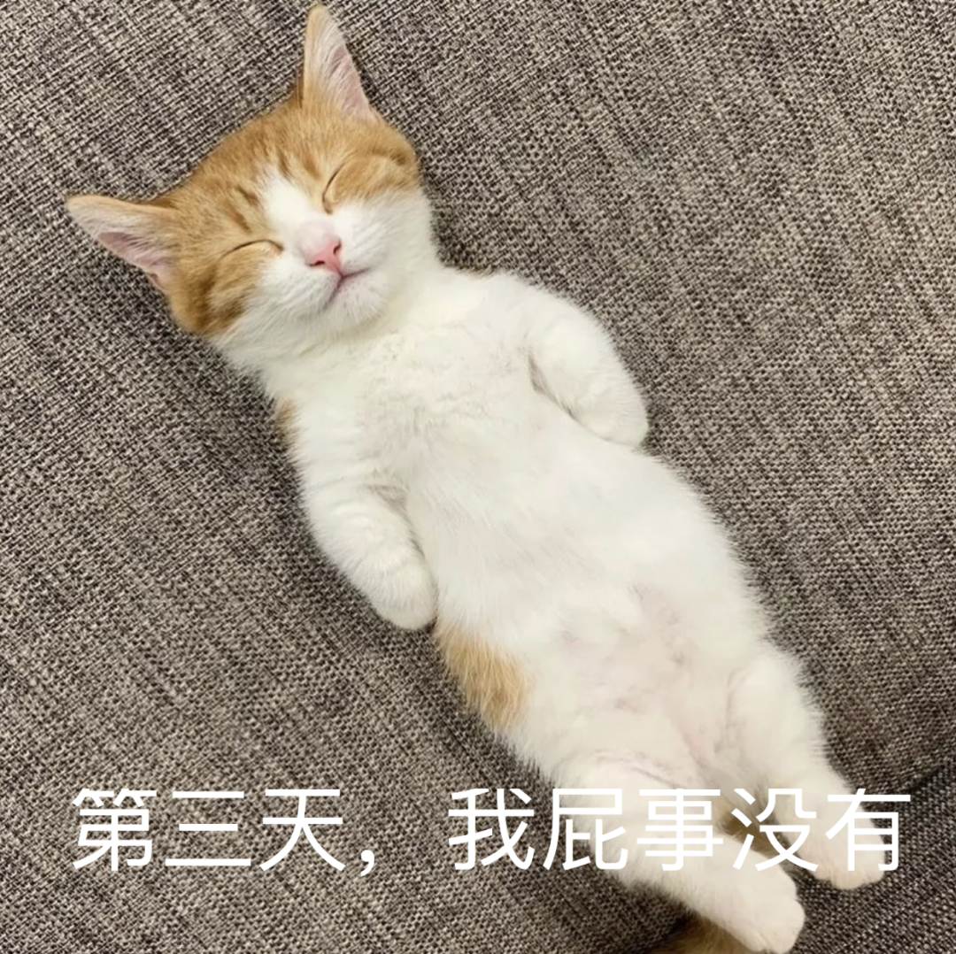 视觉志|国庆假期堵车救命帖。