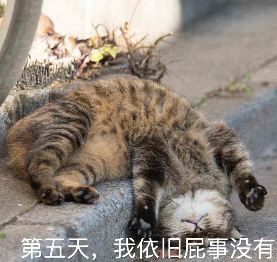 视觉志|国庆假期堵车救命帖。