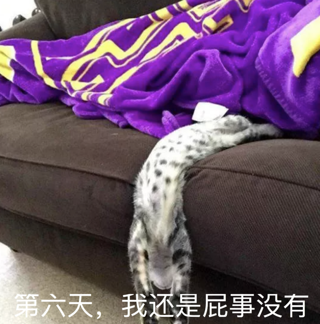 视觉志|国庆假期堵车救命帖。