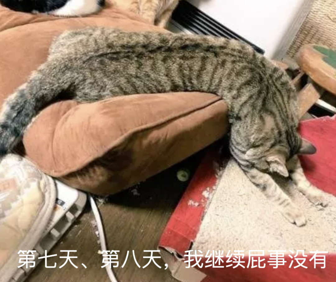 视觉志|国庆假期堵车救命帖。