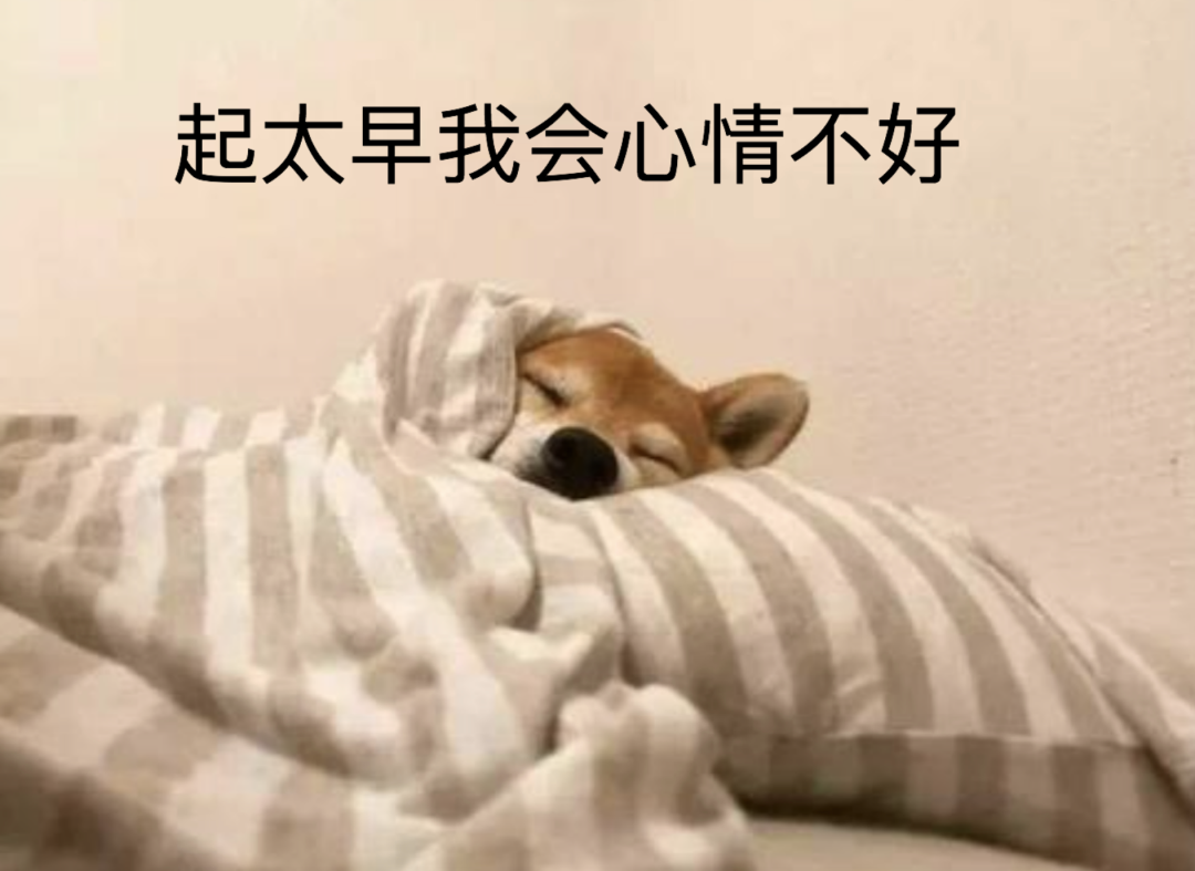 视觉志|国庆假期堵车救命帖。