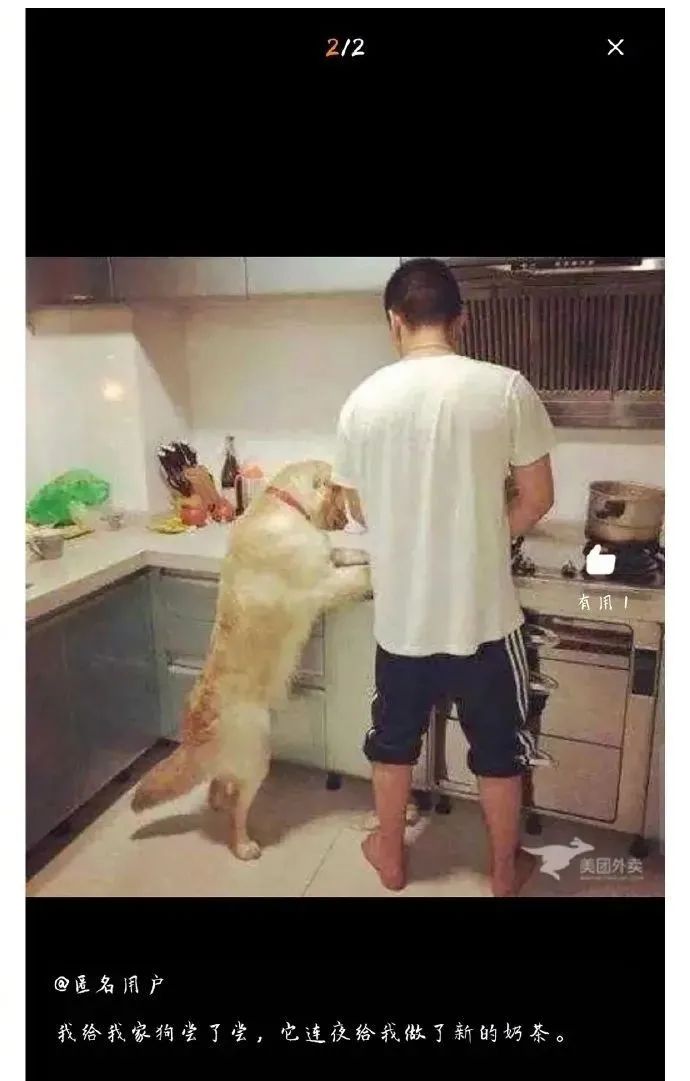 社会|千万别这样惹老婆，不然……后果你承受不住！