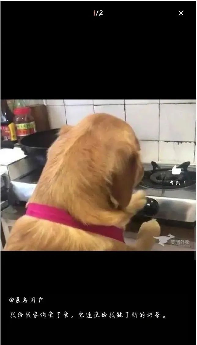 社会|千万别这样惹老婆，不然……后果你承受不住！