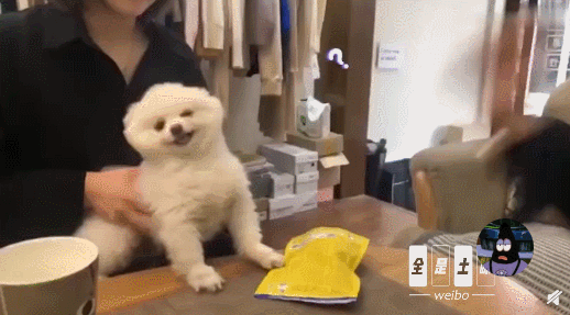 社会|千万别这样惹老婆，不然……后果你承受不住！