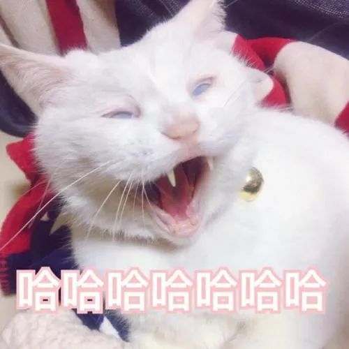 社会|千万别这样惹老婆，不然……后果你承受不住！