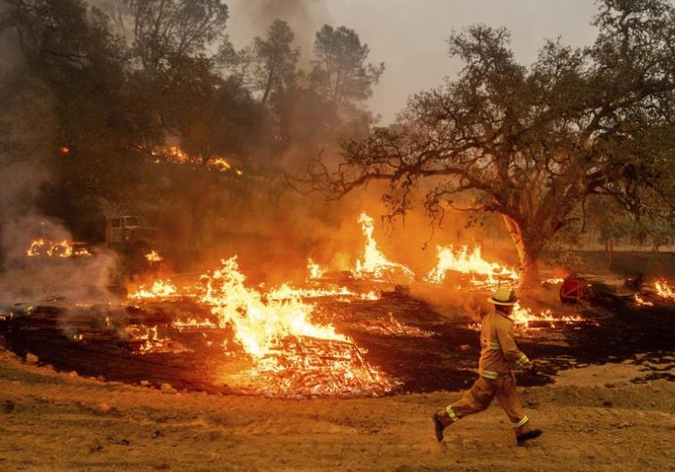 美国加州|美国加州遇史上最糟山火季：近160万公顷土地被毁 31人死亡