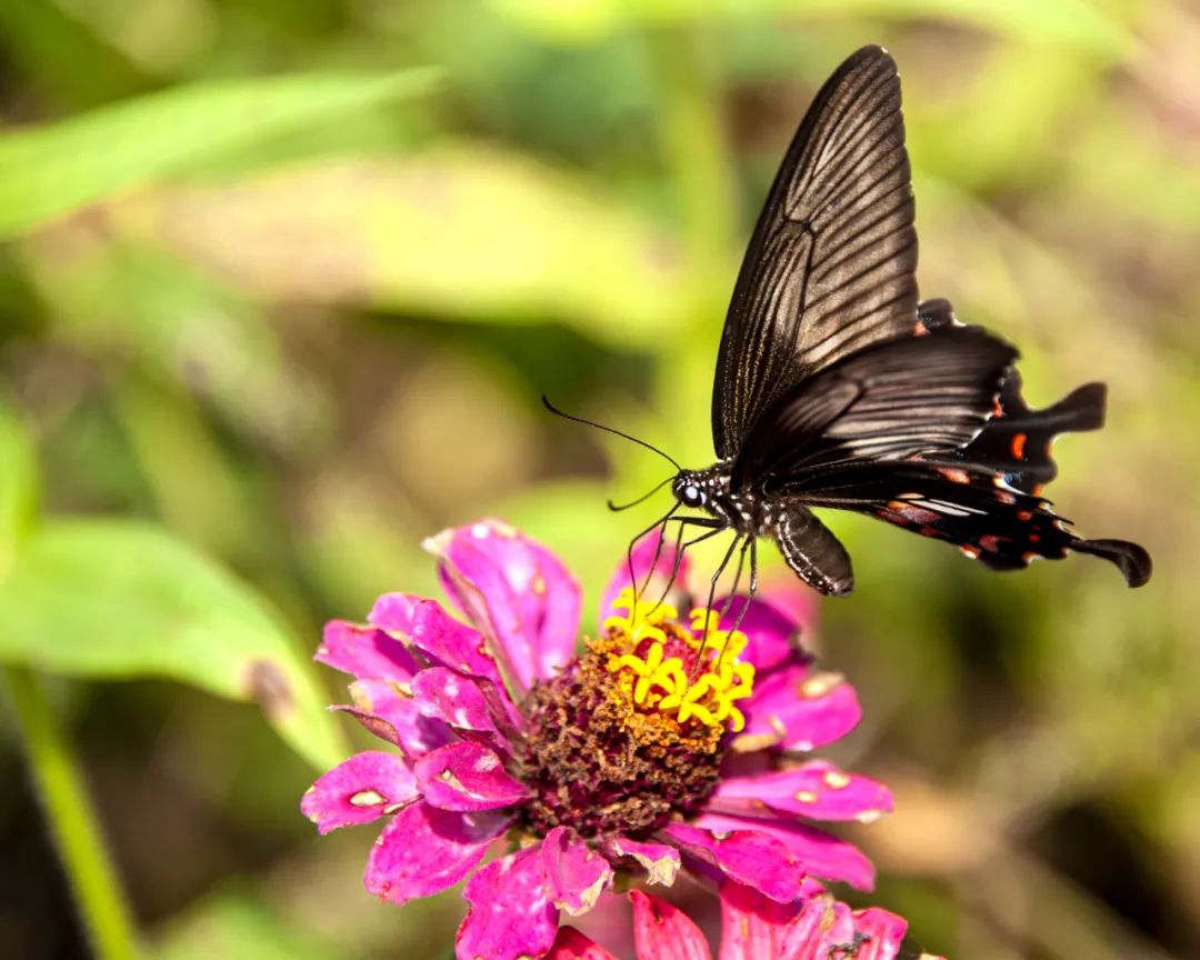 冷空气|又一轮冷空气来了!一路南下多地将有明显降温