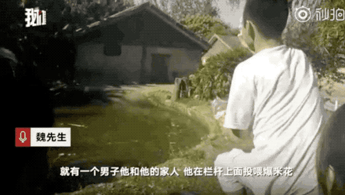 视觉志|十一你发的朋友圈，我不想点赞