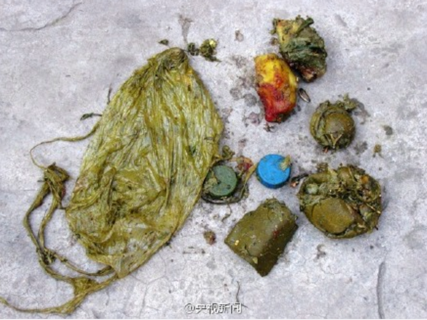 视觉志|十一你发的朋友圈，我不想点赞