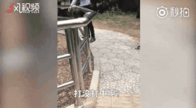 视觉志|十一你发的朋友圈，我不想点赞