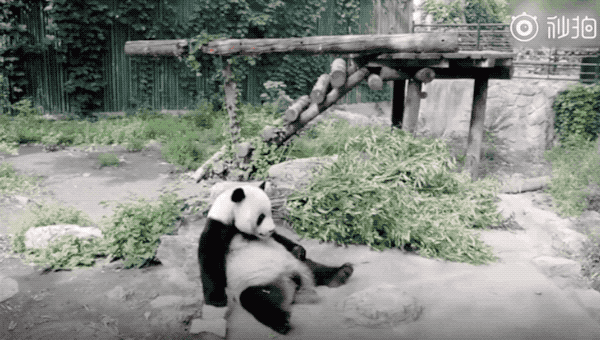 视觉志|十一你发的朋友圈，我不想点赞