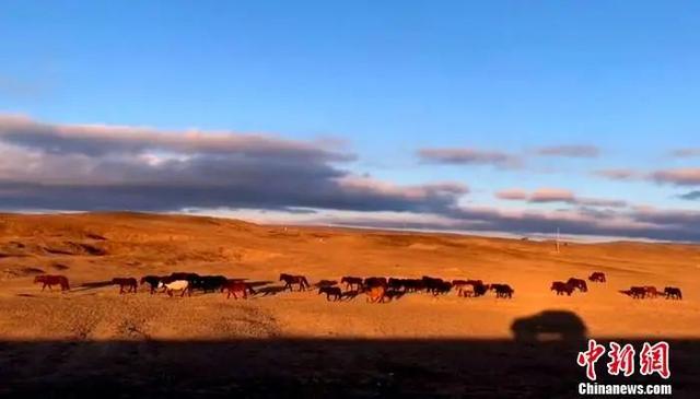 自驾游|国庆假期过出年味儿！大家都这样出门