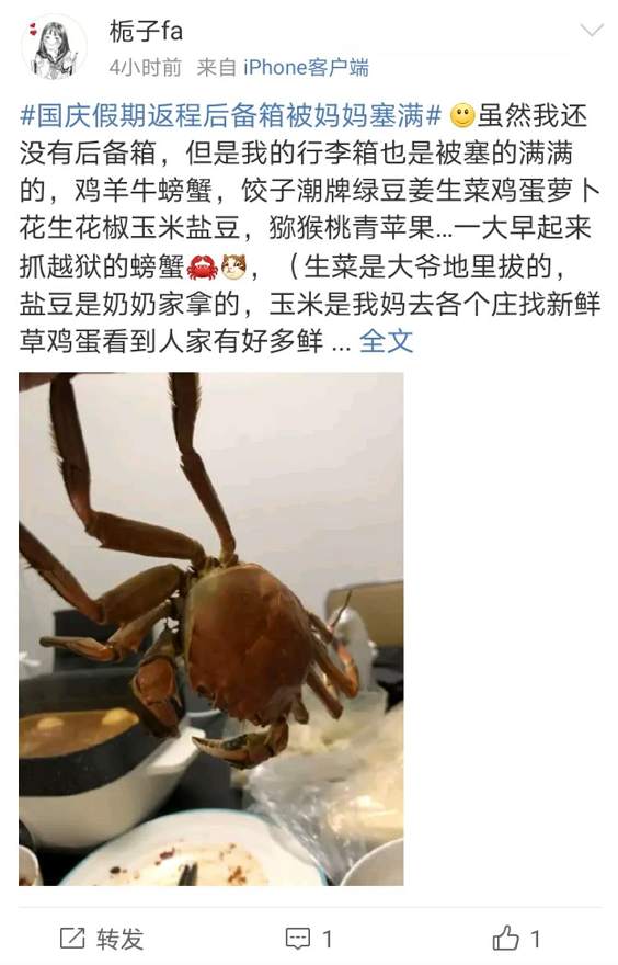 后备箱|返程高峰开启，后备箱又被塞满了！连副驾驶也没放过