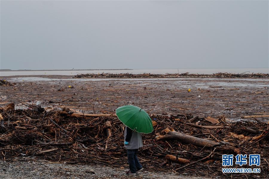 暴风雨|法国东南部地区遭暴风雨袭击