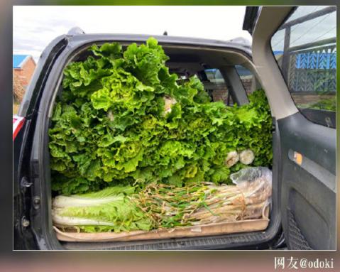 |返程时间到!后备箱又“长”特产了