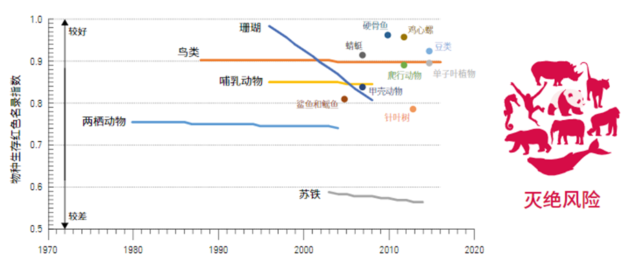 地球质量|第六次大灭绝似乎已无法避免？