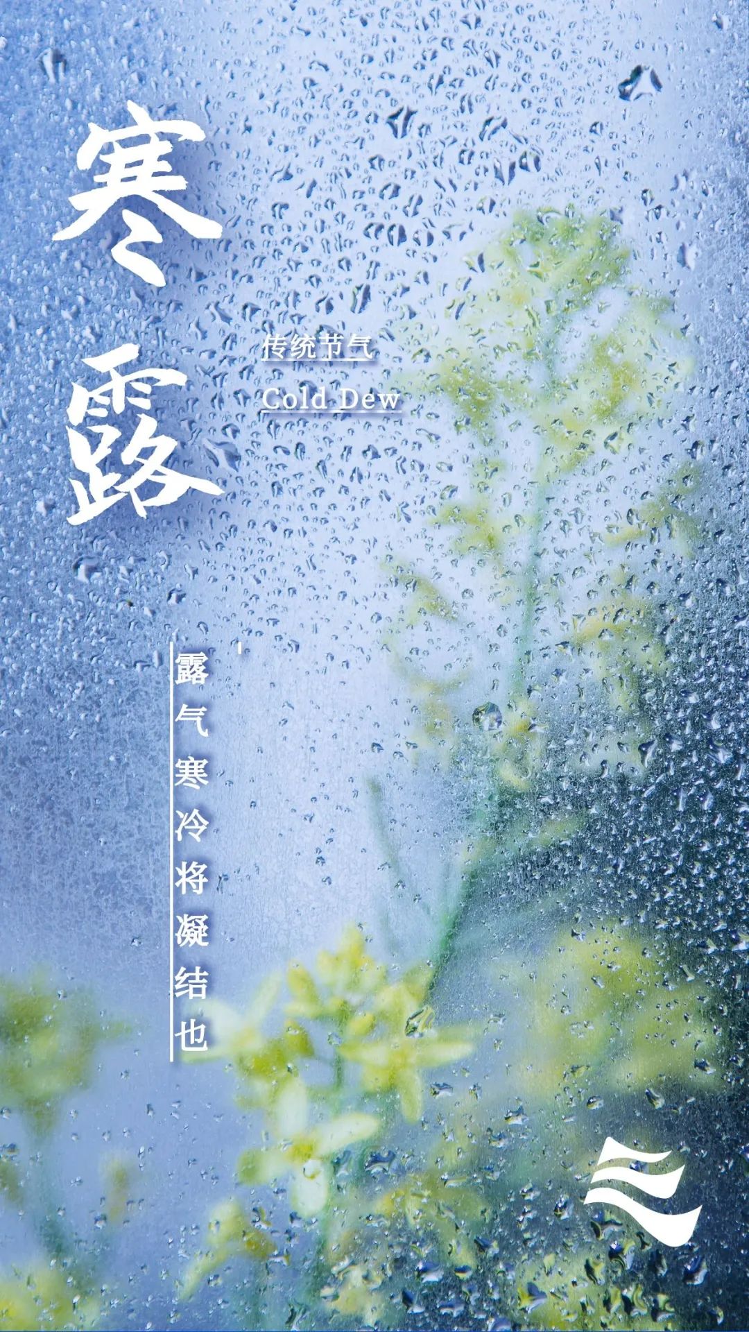 寒露|今日寒露丨秋深露重请添衣