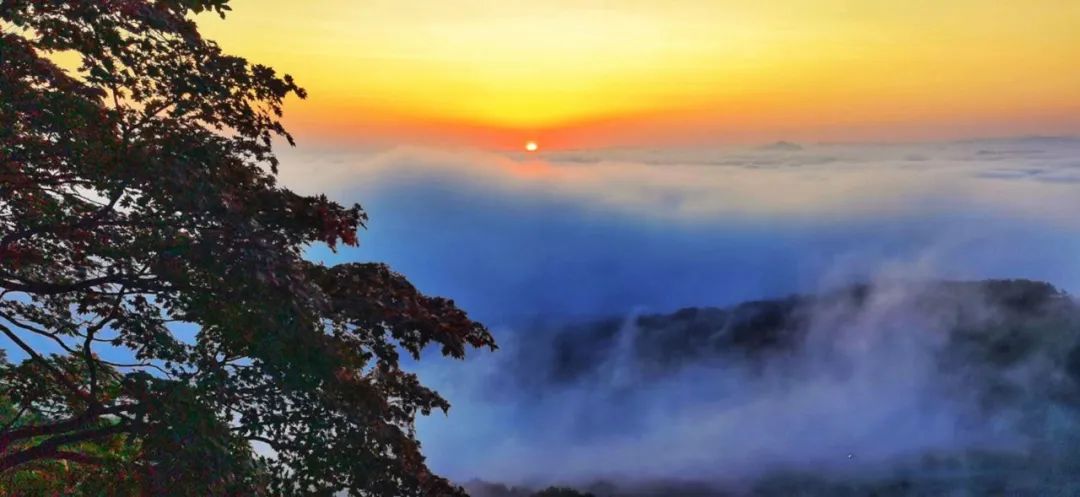 寒露|今日寒露丨秋深露重请添衣