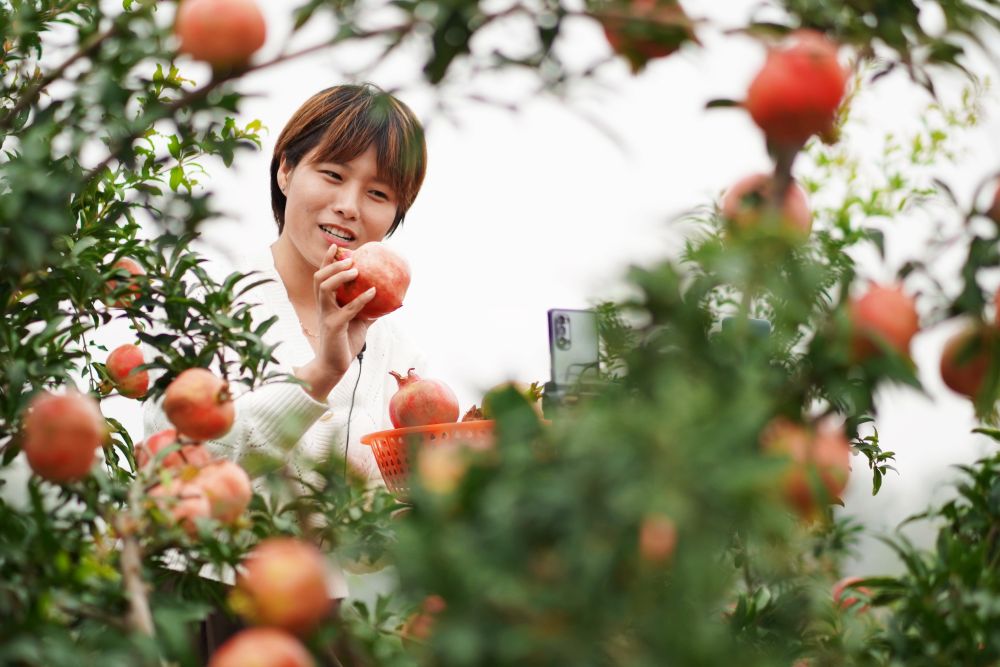 疫情|流动中国折射复苏新气象--透视“十一”黄金周