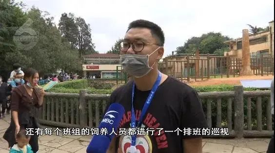 大象|太过分！动物园大象吞下了塑料袋！是游客故意投喂