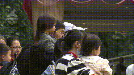 大象|太过分！动物园大象吞下了塑料袋！是游客故意投喂