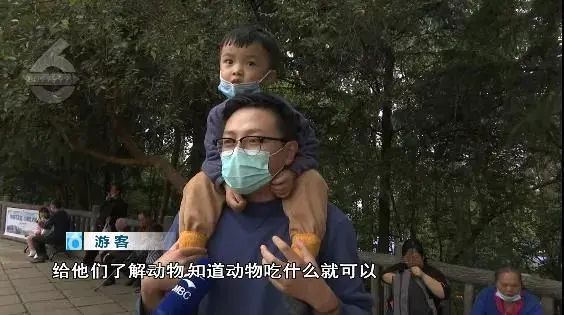 大象|太过分！动物园大象吞下了塑料袋！是游客故意投喂