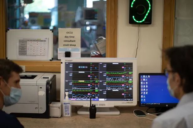 教育|匪夷所思……