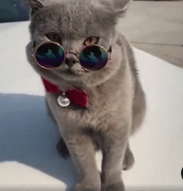 手指关节炎|哈哈哈哈…...小伙放声大笑后合不上嘴，医生：你关节炎犯了